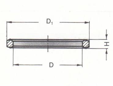 Preview: Dichtkantenring für Manometer Anschlussverschraubungen DKI R 1/2