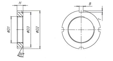 Preview: Slot nut DIN 981